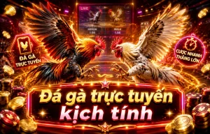 Giao diện Đá Gà 502southernart
